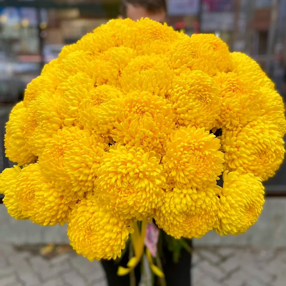 Цветы бабушке