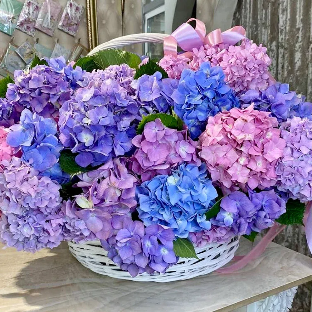 Корзины с гортензиями
