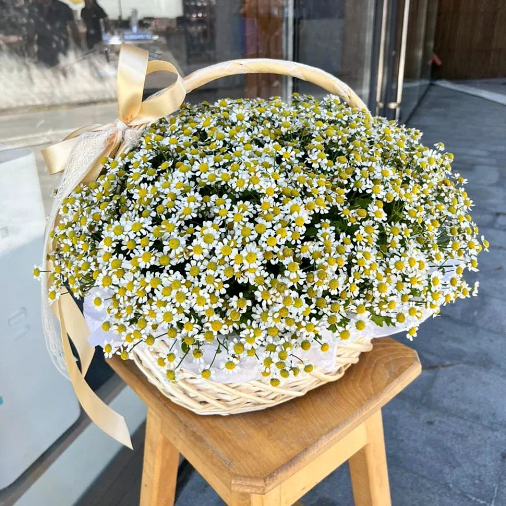 Корзины с ромашками