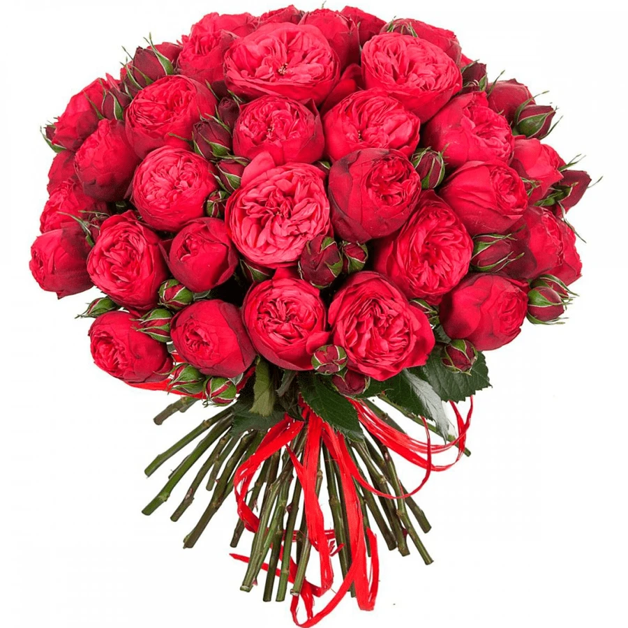 Розы: как дарить и ухаживать