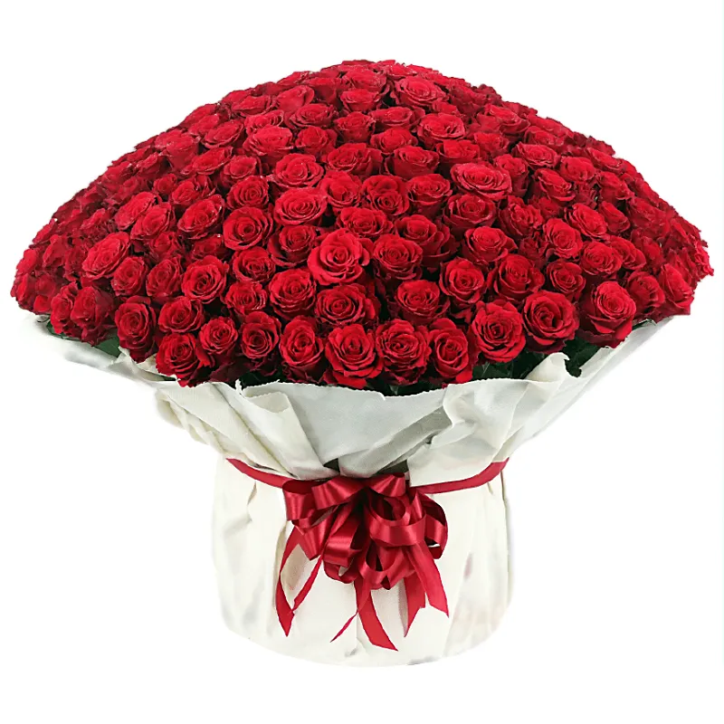 Букет из 501 красной розы