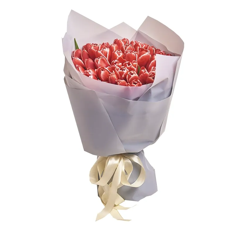Букет из 51 бело-красного тюльпана