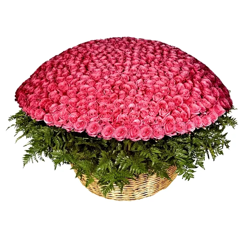 Букет из 1001 розовой розы