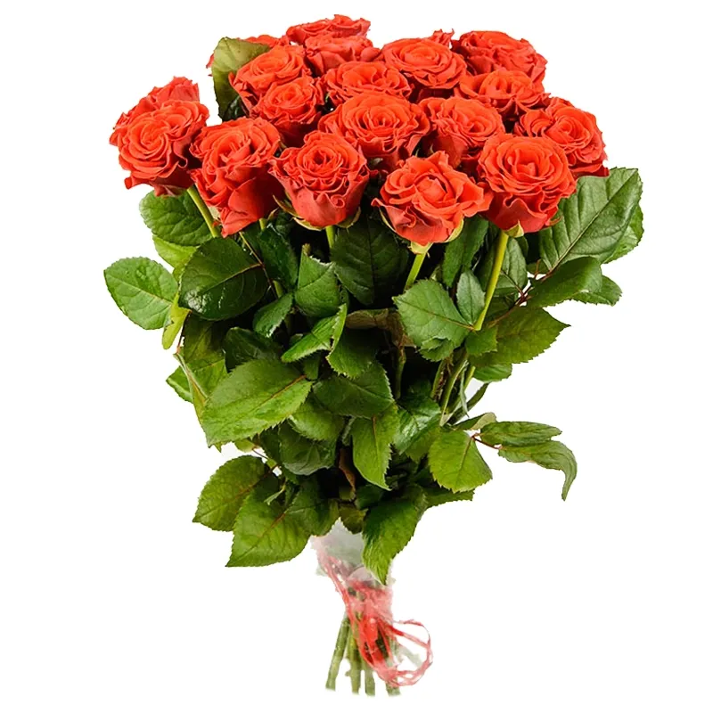 Букет из 21 оранжевой розы премиум
