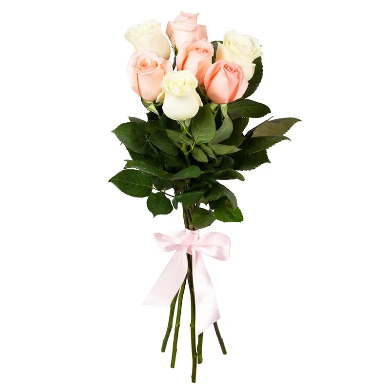 Букет из белых и кремовых роз 7 штук (70см)