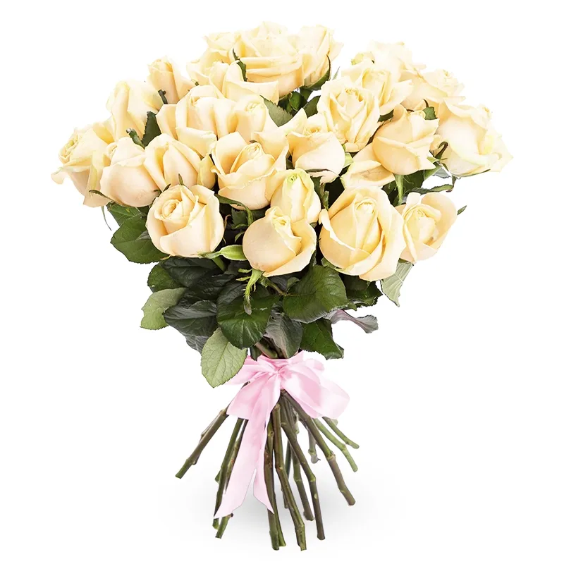 Букет из 25 кремовых роз