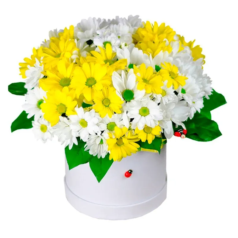 Цветы в коробке «Счастье»