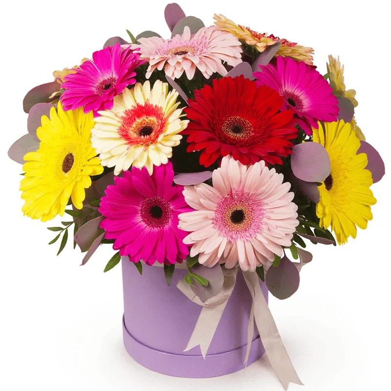 Цветы в коробке «Сновидение»