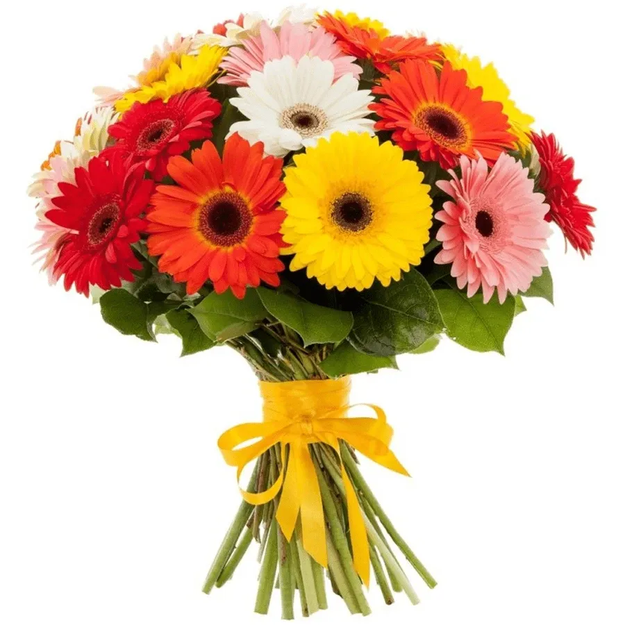 Гербера микс №1