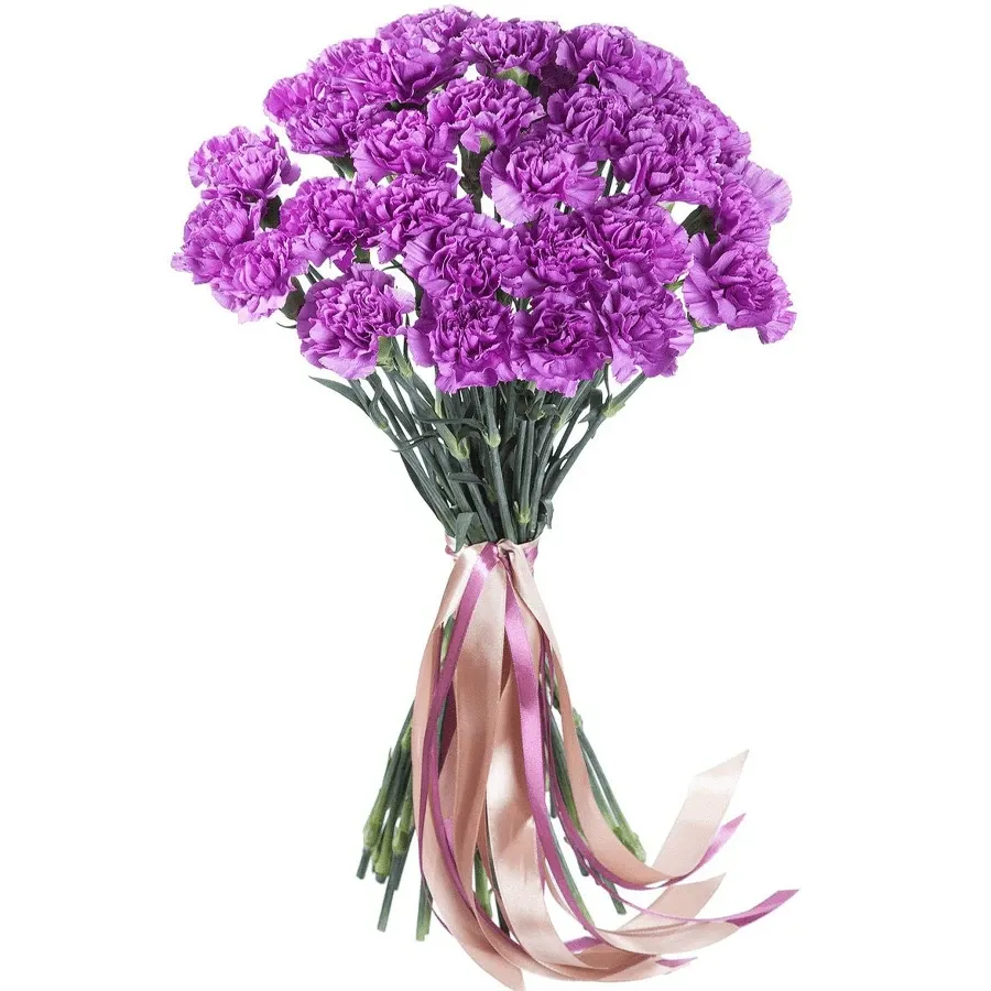 Гвоздика сиреневая